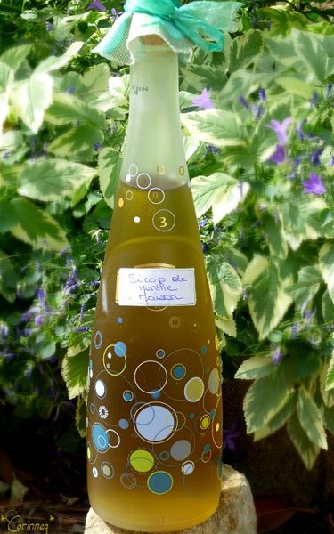 Sirop de menthe maison - 🥗 La Cuisine de Coco 🍜