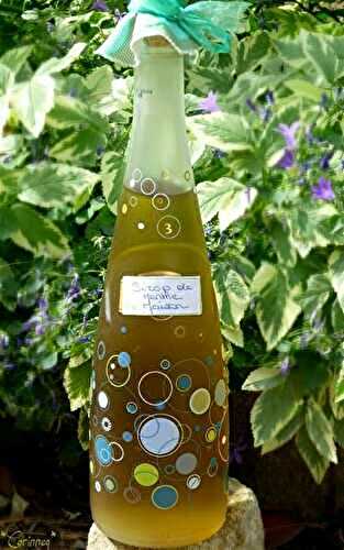 Sirop de menthe maison - 🥗 La Cuisine de Coco 🍜