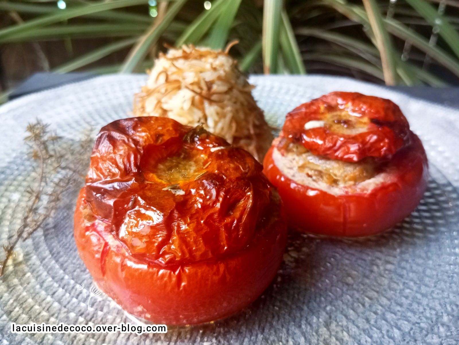 Tomates farcies aux herbes - 🥗 La Cuisine de Coco 🍜