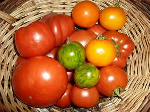 Un des derniers paniers de tomates de la saison ... - 🥗 La Cuisine de Coco 🍜