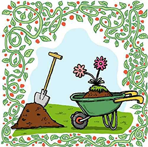 Un potager à l'ombre ou à mi-ombre : quelques idées - 🥗 La Cuisine de Coco 🍜