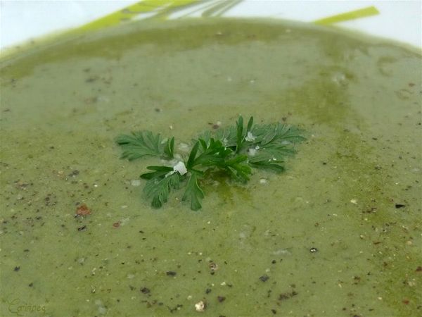 Velouté vitaminé aux fanes de carottes - 🥗 La Cuisine de Coco 🍜