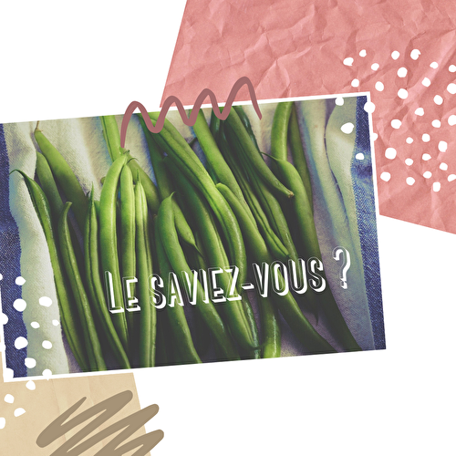 Les bienfaits des haricots verts