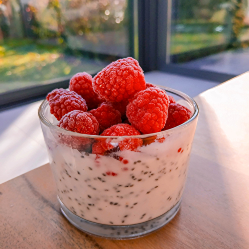 Pudding de chia