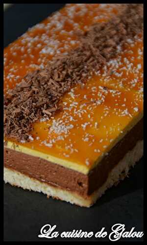 BAVAROIS CHOCOLAT / ABRICOT-MANGUE