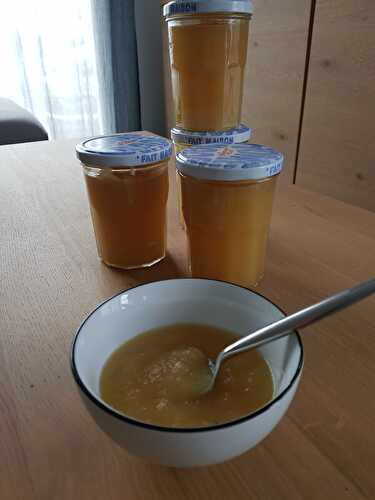 COMPOTE DE POMMES AU MAGIMIX