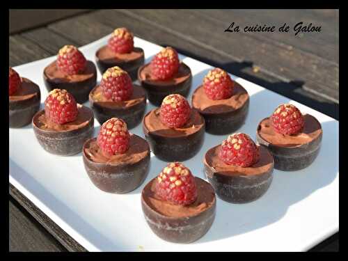 COQUES CHOCOLAT / FRAMBOISES