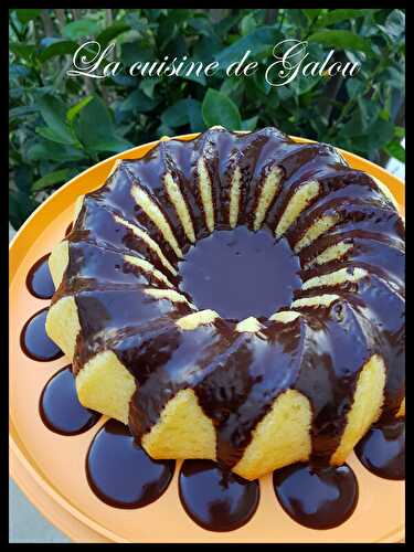 GÂTEAU AU YAOURT ET A LA NOIX DE COCO AVEC SON PETIT NAPPAGE AU CHOCOLAT