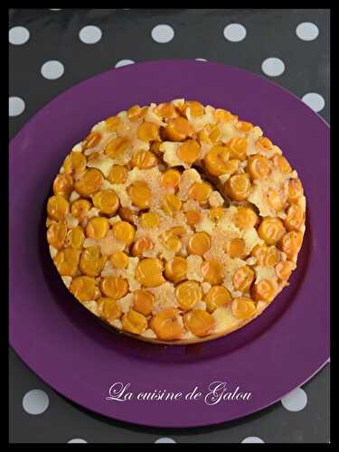 GATEAU RENVERSE AUX MIRABELLES