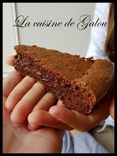 LE GÂTEAU AU CHOCOLAT MOELLEUX REINE DE SABA DE MICHEL ET AUGUSTIN