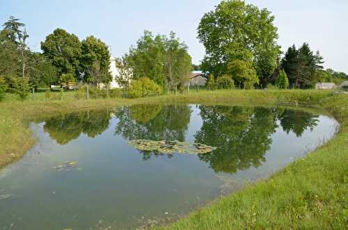 LE JARDIN GRENADINE