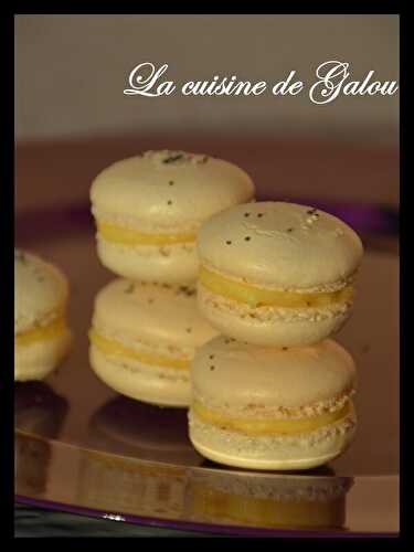 MACARON AU CITRON