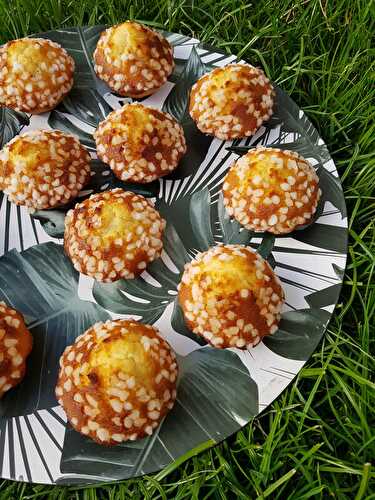 MADELEINES ESPAGNOLES