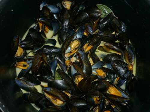 Moules au curry