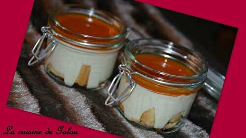 TIRAMISU ABRICOT - MANGUE