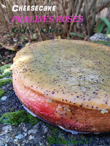 Cheesecake aux pralines roses et gelée de Kiwis