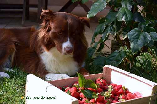 Confiture de fraises