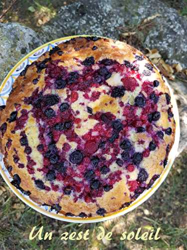 Gâteau au yaourt et fruits rouges