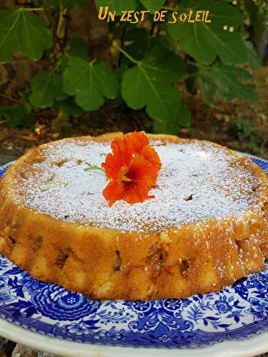 Gâteau Lorrain aux mirabelles