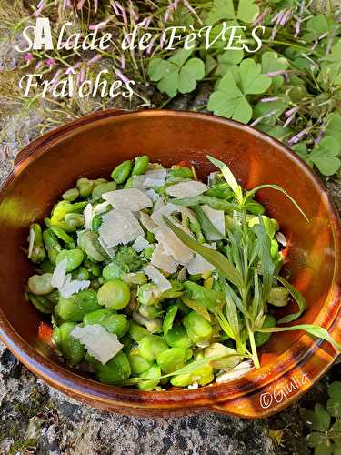 Salade de fèves, vinaigre balsamique, estragon et parmesan