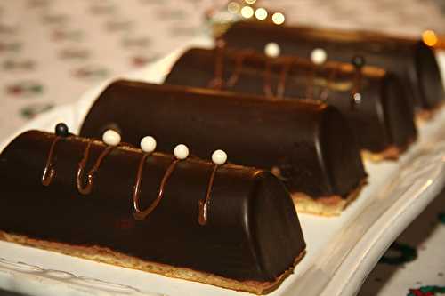Bûchettes chocolat framboise