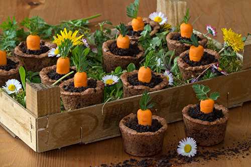 Carrot cookies pot