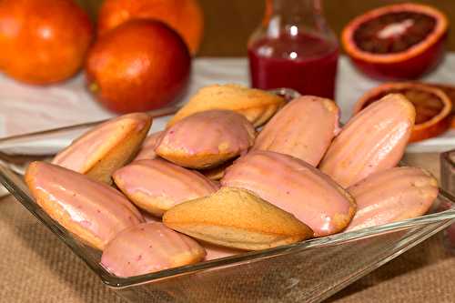 Madeleines glacées à l’orange sanguine