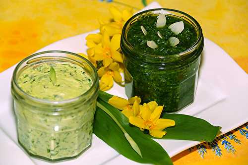 Pesto et beurre à l'ail des ours