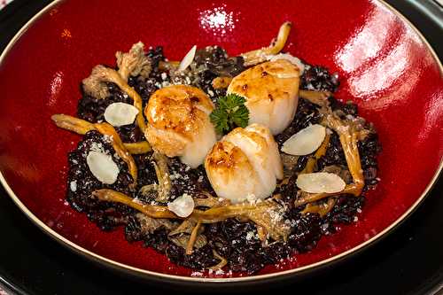 Risotto de riz noir venere aux noix de St-Jacques et girolles