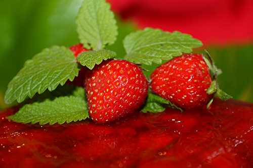 Terrine de fraises à la gelée de muscat