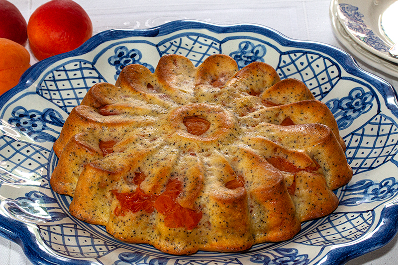 Gâteau aux abricots et aux graines de pavot (Pause)