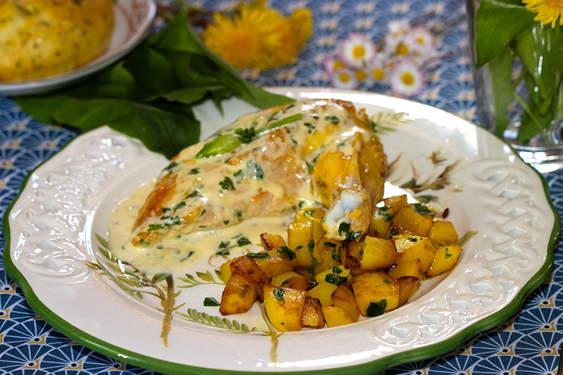 Suprêmes de poulet, crème à l’ail des ours