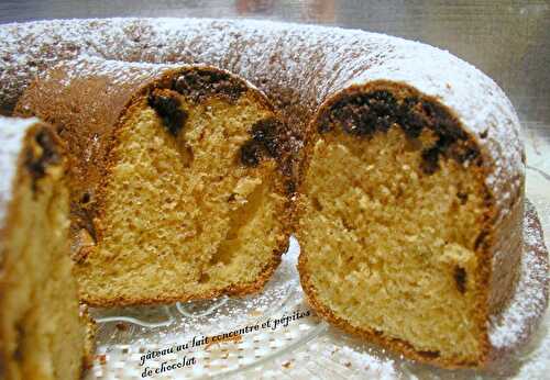 Gâteau au lait concentré aux pépites de chocolat - la cuisine de josette