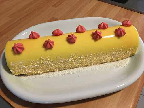 Bûche citron/coco