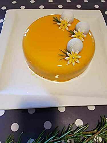 Entremet abricot /pistache