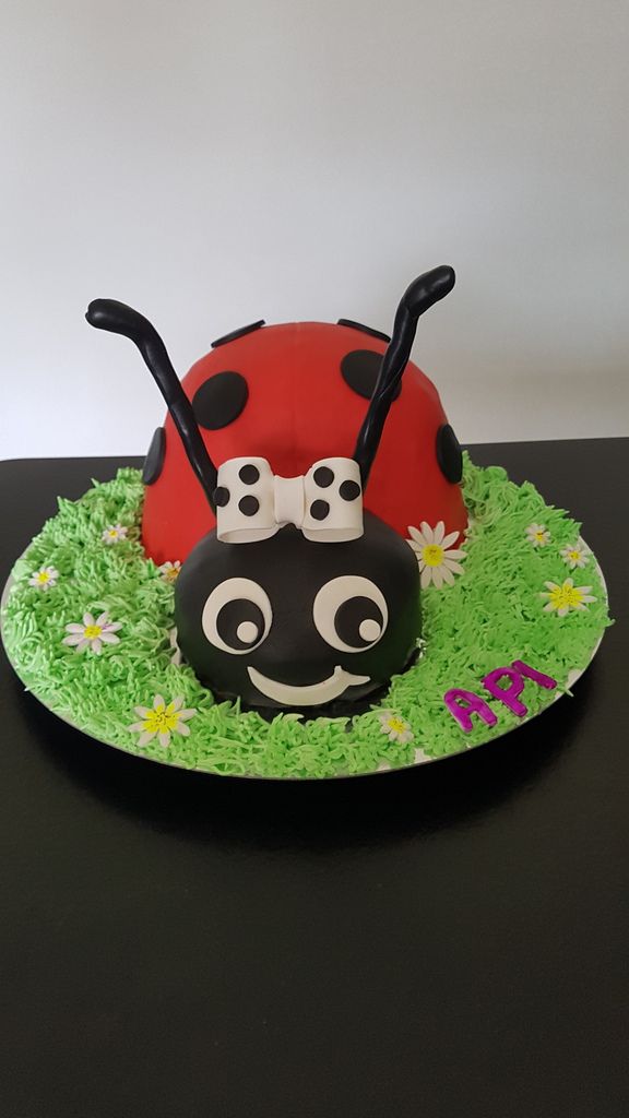 Gâteau coccinelle