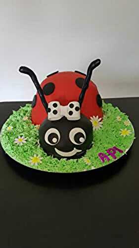 Gâteau coccinelle