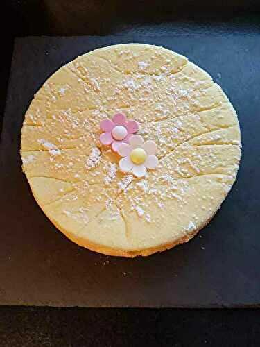 Japanese cotton sponge cake