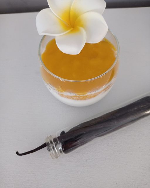 Panacotta vanille mangue