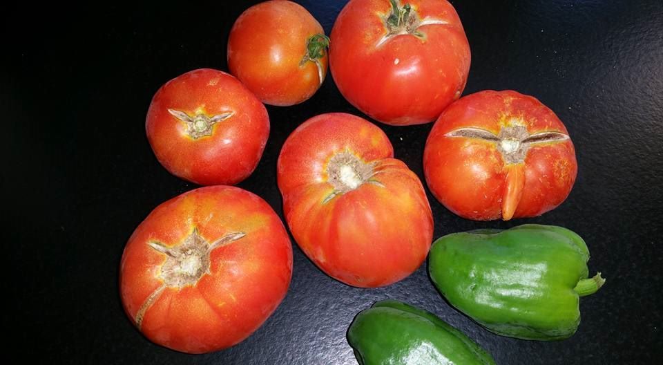 Tomates et poivrons farcies