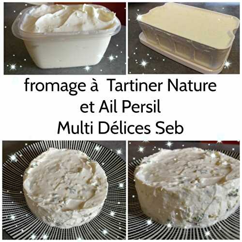 Fromage à Tartiner à la Multi délices SEB