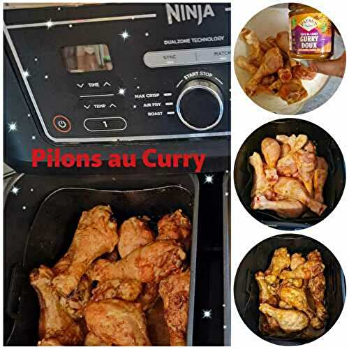 Pilons au Curry Ninja Air Fryer
