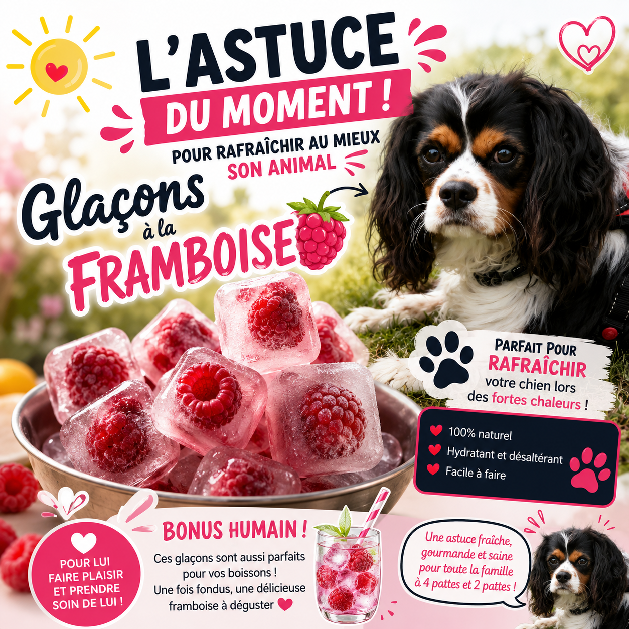 Glaçons à la framboise