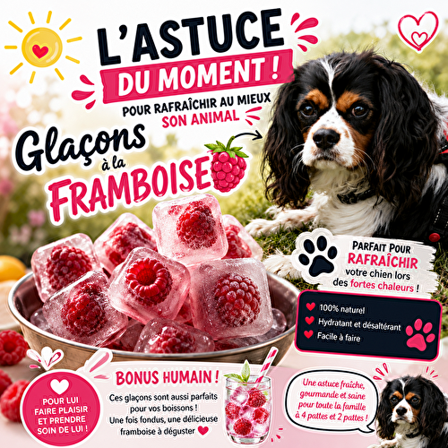 Glaçons à la framboise