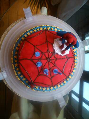 Gâteau au chocolat Spiderman