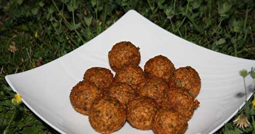 Cromesquis  quinoa - farine de lentilles