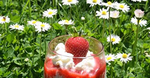 Fraises melba