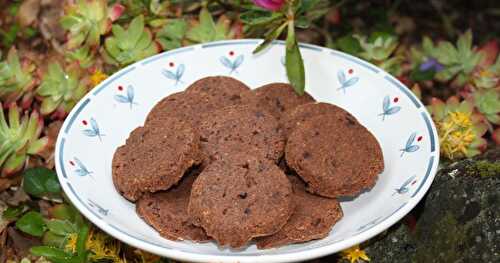 Sablés bretons au chocolat de Philippe Conticini