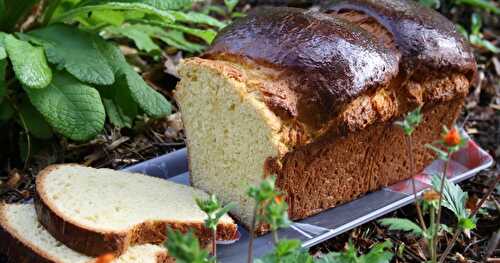 Brioche à la faine d'épeautre 