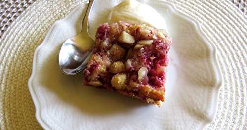 Carrés aux framboises et au chocolat blanc +